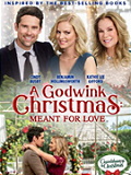 A GODWINK CHRISTMAS: MEANT FOR LOVE on DVD