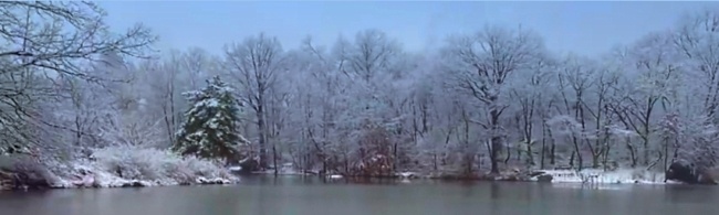 Central Park lake in winter