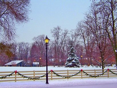 Christmas in the park